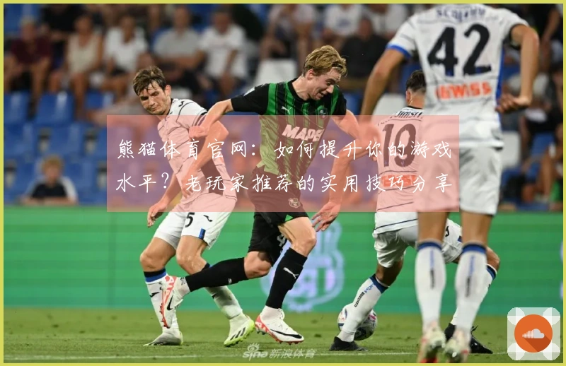 熊猫体育官网：如何提升你的游戏水平？老玩家推荐的实用技巧分享