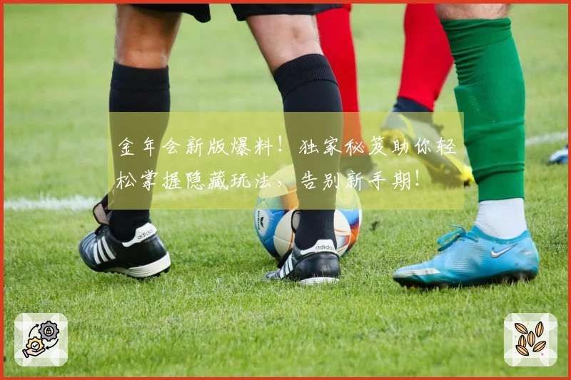 金年会新版爆料！独家秘笈助你轻松掌握隐藏玩法，告别新手期！