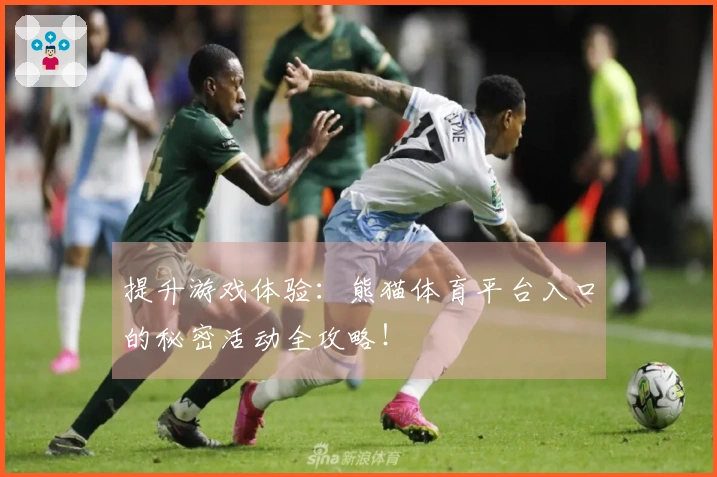 提升游戏体验：熊猫体育平台入口的秘密活动全攻略！