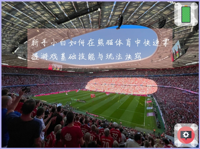 新手小白如何在熊猫体育中快速掌握游戏基础技能与玩法诀窍