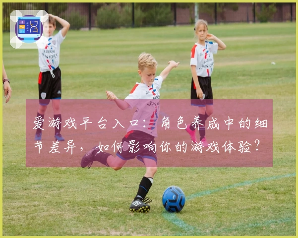 爱游戏平台入口：角色养成中的细节差异，如何影响你的游戏体验？